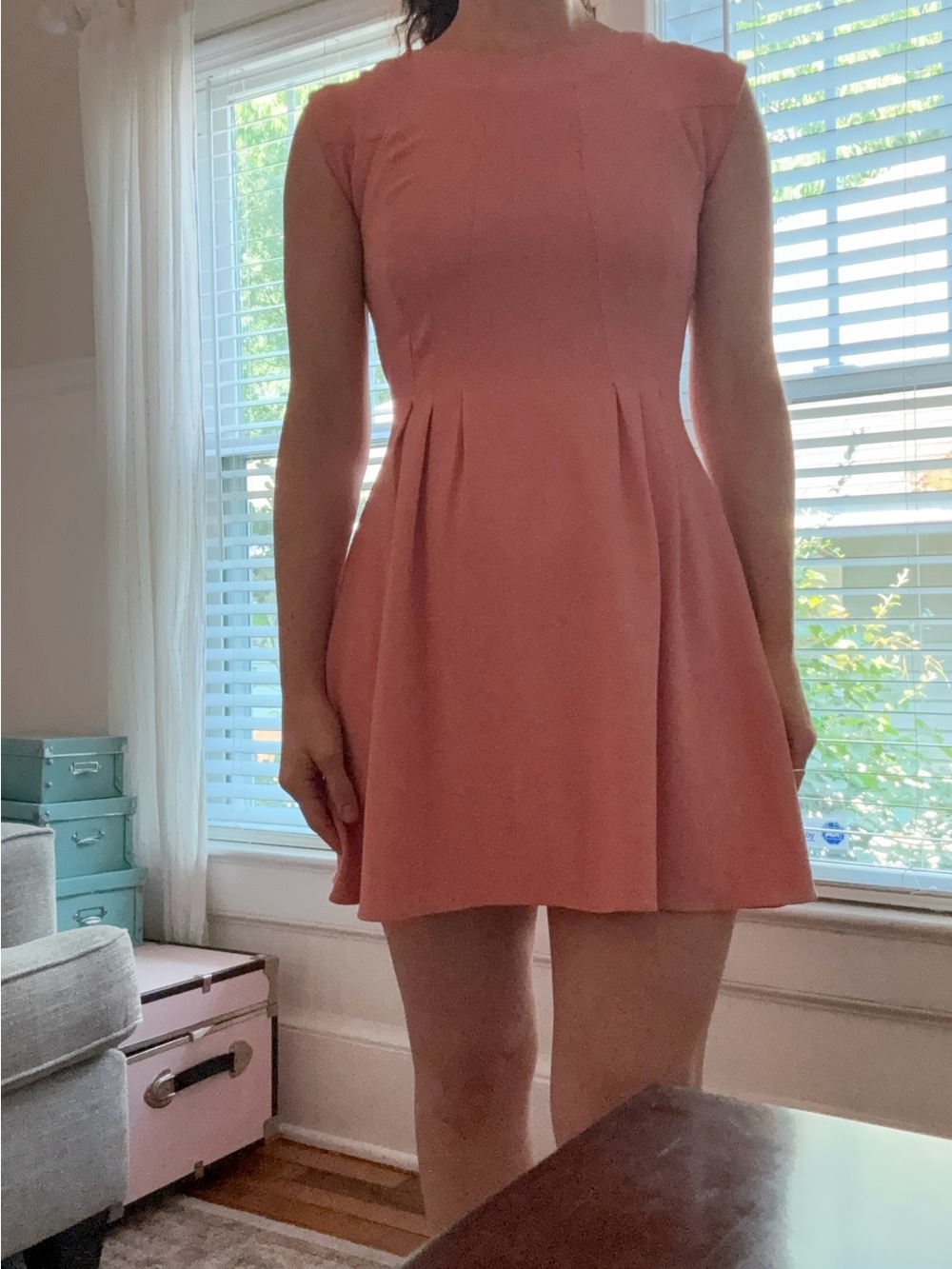Topshop Rose Sleeveless Pleated Skater Dress